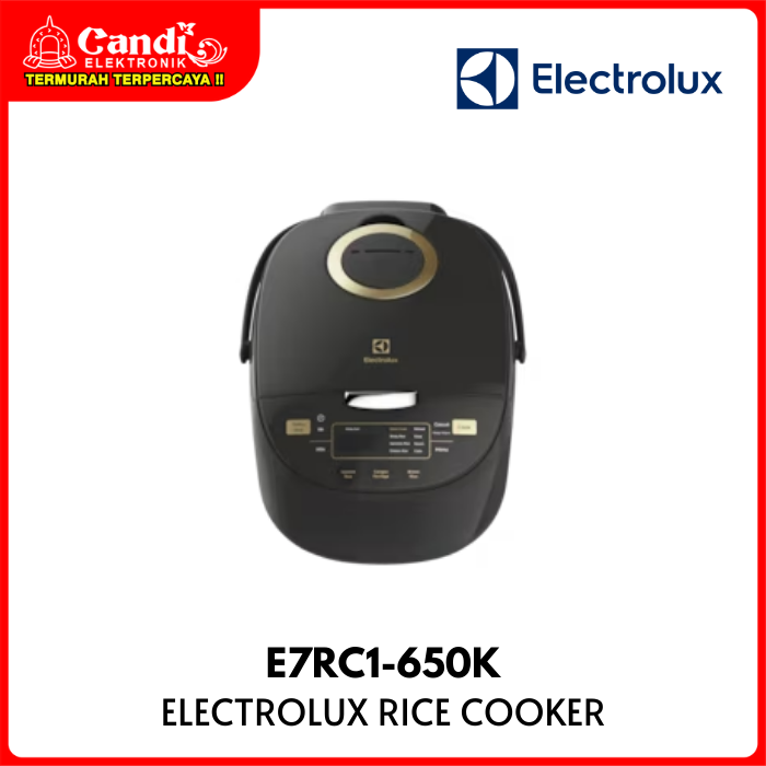 Electrolux Rice Cooker