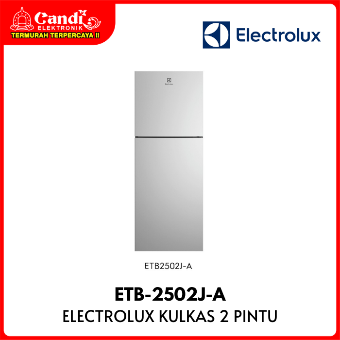 Electrolux Refrigerator 2 Door